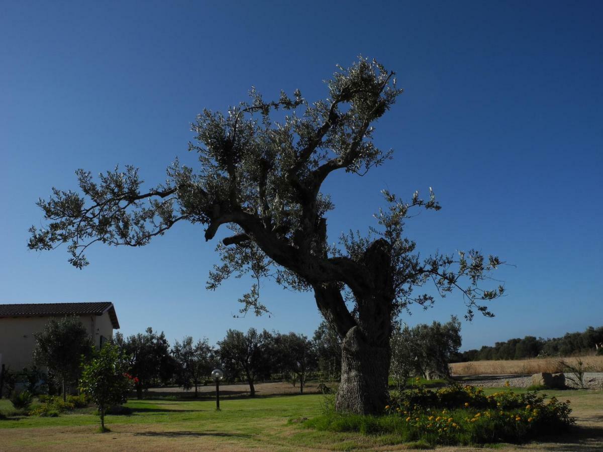 Agriturismo Is Solinas Masainas Exterior photo